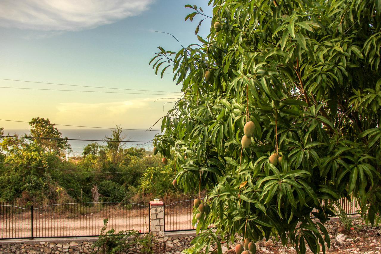 Sunshine Lodge: Your Home Away From Home Montego Bay Exterior photo